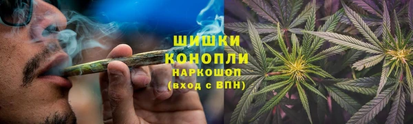 винт Нея