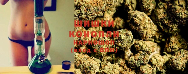 винт Нея