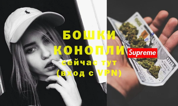 винт Нея