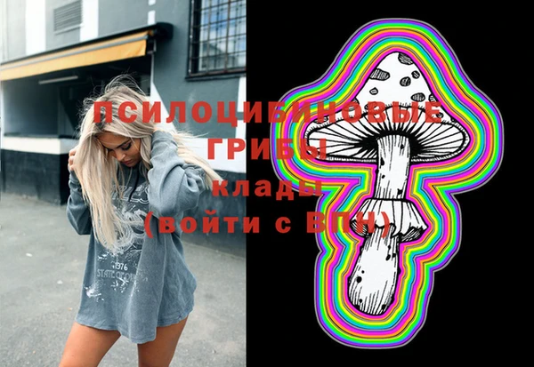 винт Нея
