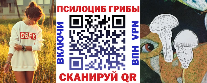 где можно купить наркотик  Стрежевой  Галлюциногенные грибы Cubensis 